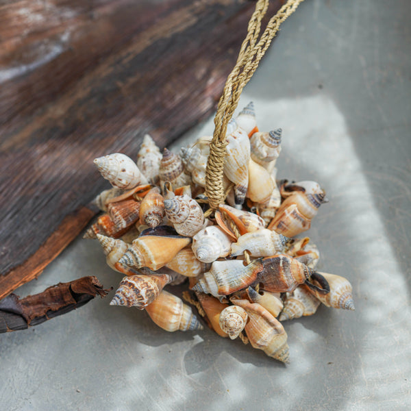 Conch Seashell Cluster on Rope Okiara